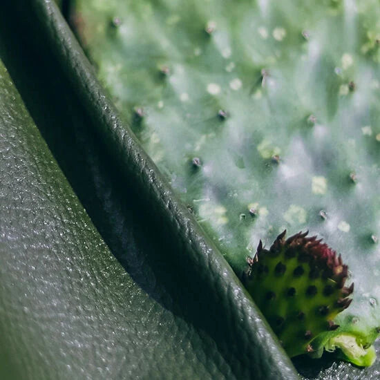 Cactus leather texture