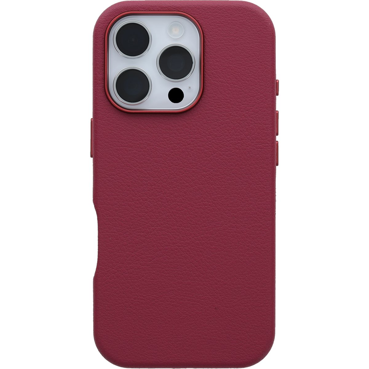 iPhone 16 Pro Symmetry Series Cactus Leather für MagSafe Hülle