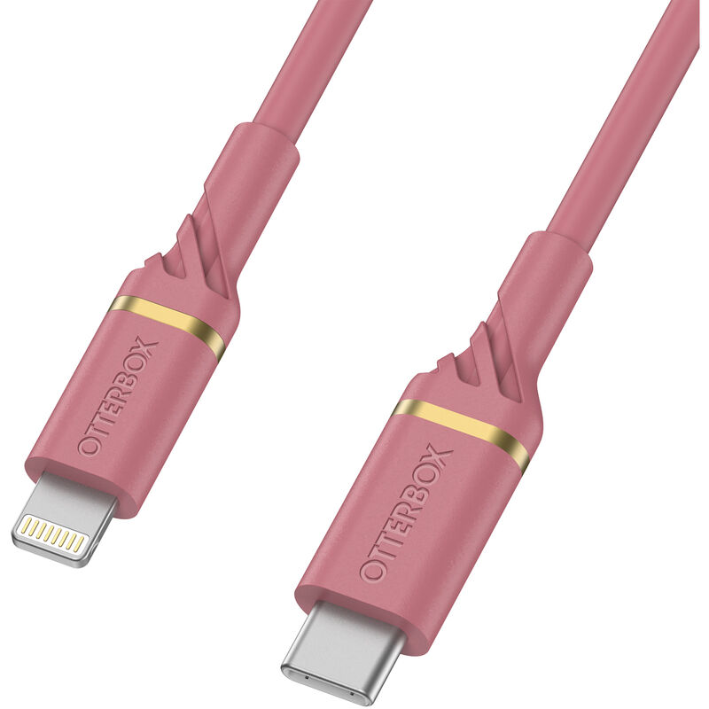 product image 1 - Lightning a USB-C Ricarica Veloce Cavo | Standard